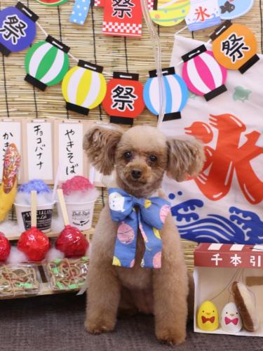 20240706メルちゃん